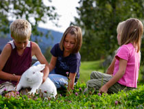Farmhouse holidays