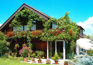 Bild Haus Strau�