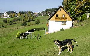 Bild Balzenhof