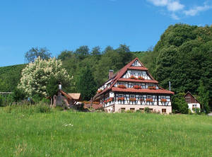 Bild 1 - Saschwaller Burehus Holzwurm