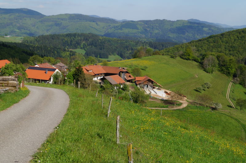 Ferienwohnung am Weiher - Kleines Wiesental - Wies - Ferienwohnung - (c