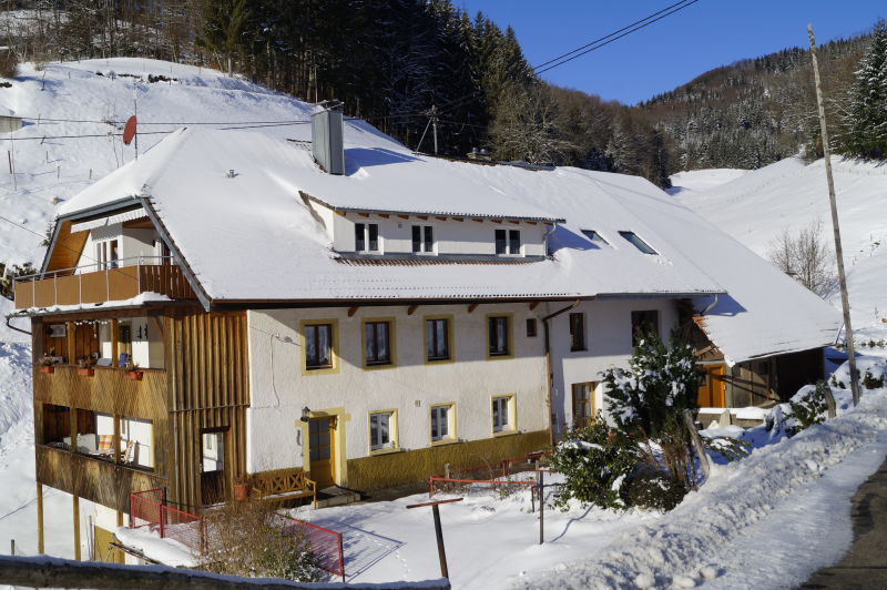 Ferienwohnung am Weiher - Kleines Wiesental - Wies - Ferienwohnung - (c