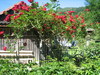 Bild 10 - Haus Kohlers