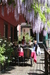 Bild 6 - Hotel zum L�wen