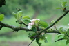 Bild 6 - Jungbauernhof