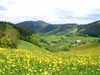 Bild 4 - Jungbauernhof