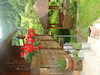 Bild 3 - Jungbauernhof - Ferienhaus  - Ferienwohnung "Speicher"