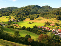 Ferienwohnungen / Ferienh�user Suche