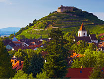 Gasth�fe, Pensionen, G�steh�user Hotel Suche